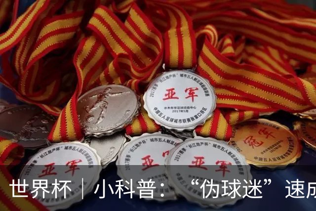 世界杯｜小科普：“伪球迷”速成手册